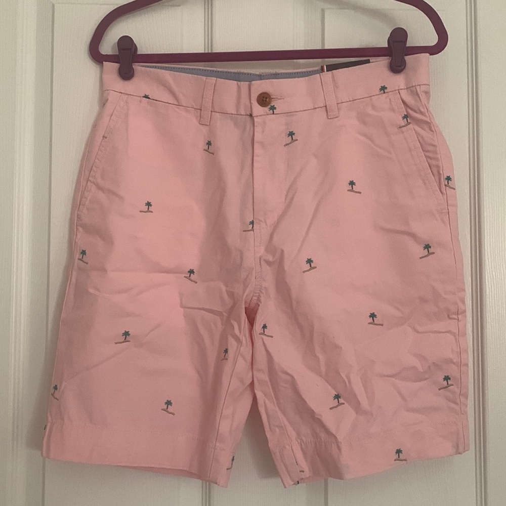 Tommy Hilfiger Shorts / 30